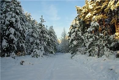 外媒评2024年上半年最糟糕的游戏 《鬼屋魔影：重制版》等